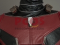 Picture of Ant-Man and the Wasp Scott Edward Harris Lang Cosplay Costume mp003983